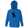 Kids premium hooded sweatshirt Thumbnail