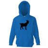 Kids premium hooded sweatshirt Thumbnail
