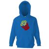 Kids premium hooded sweatshirt Thumbnail