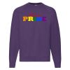 Classic 80/20 raglan sweatshirt Thumbnail