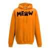 College hoodie Thumbnail