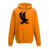College hoodie Thumbnail